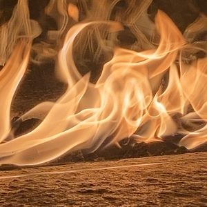 Meet your Posher, Audrey